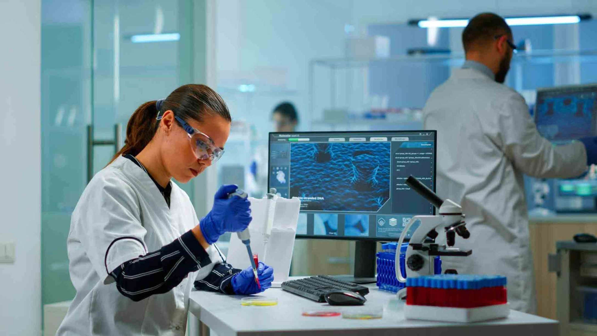DIPLOMA IN  VETERINARY  LABORATORY  TECHNOL0GY 